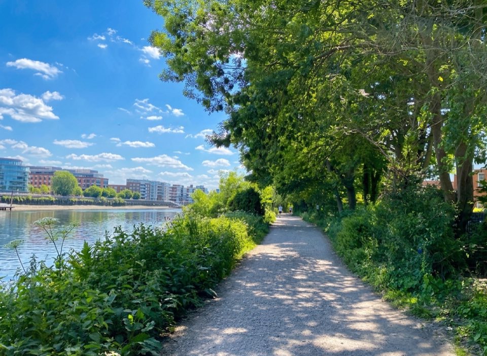 West London River Run along the Thames